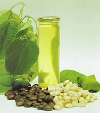 Pictures of Sacha Inchi Oil