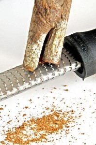 Saigon Cinnamon (Vietnamese Cinnamon) Photos Photos of Saigon Cinnamon (Vietnamese Cinnamon)