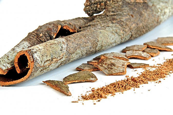 Pictures of Saigon Cinnamon (Vietnamese Cinnamon)