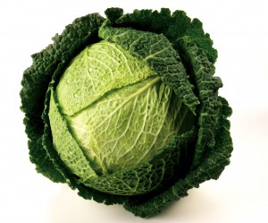 Savoy Cabbage