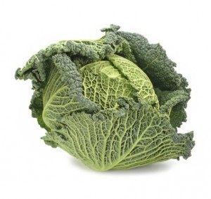 Savoy Cabbage Images