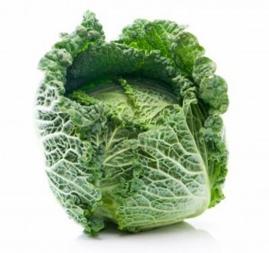 Savoy Cabbage Photos