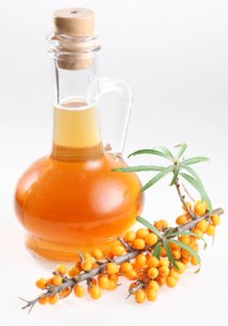Sea Buckthorn Oil Images Images of Sea Buckthorn Oil