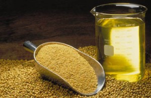 Soybean Oil Soybean Oil Picture