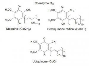 Soybean Oil Structure Image