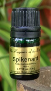 Spikenard Images Images of Spikenard