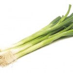 Spring Onion