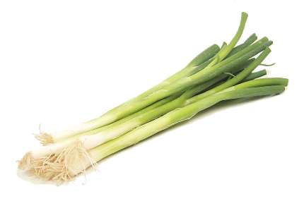 Spring Onion