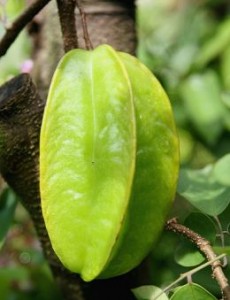 Star Fruit Picture