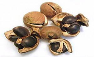 Images of Tea seed oil