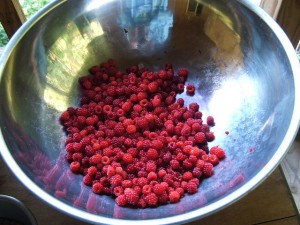 Photos of Thimbleberry