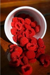 Pictures of Thimbleberry