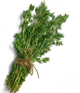 Thyme Picture