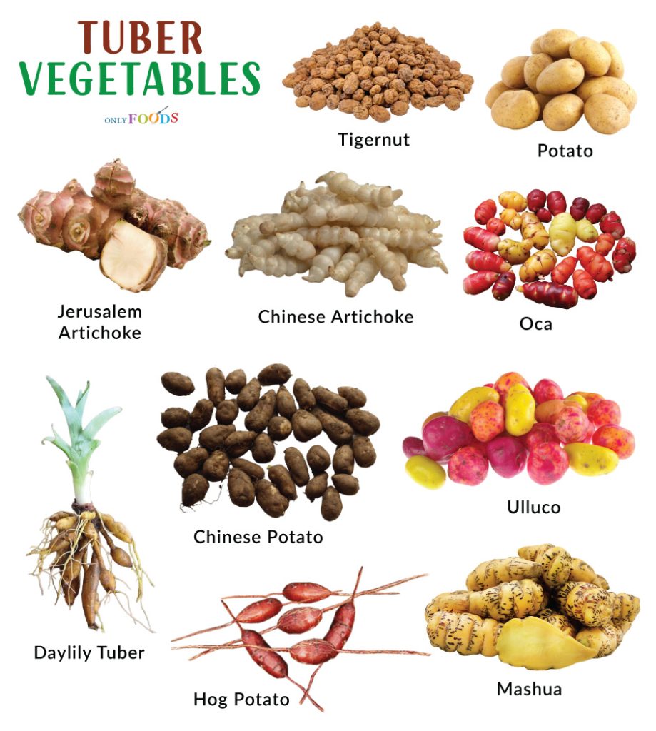 Tuber Vegetables