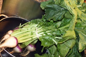 Turnip Green