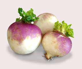 Turnip Pictures Pictures of Turnip
