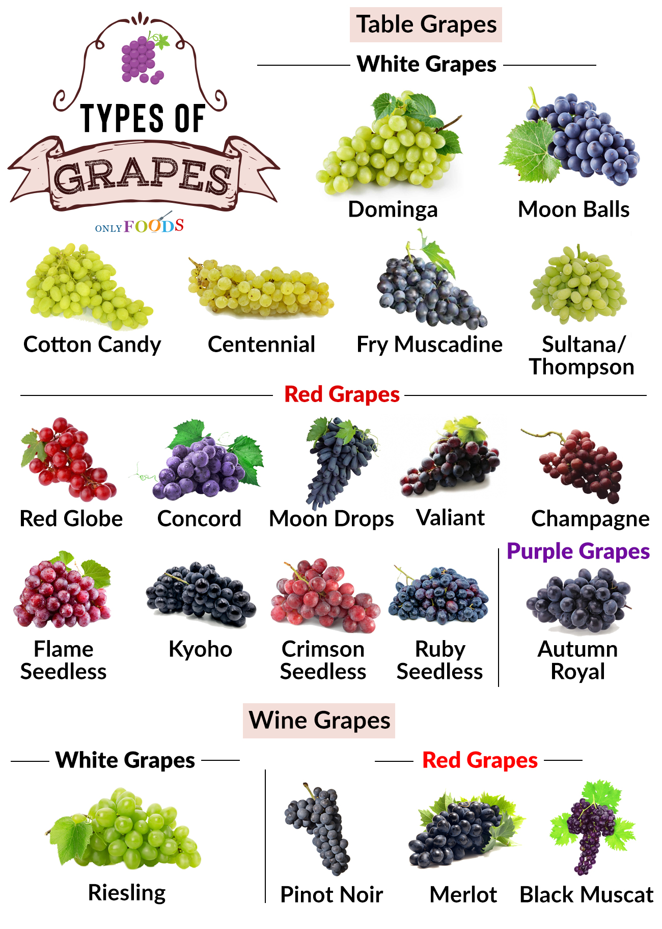 Types of Grapes