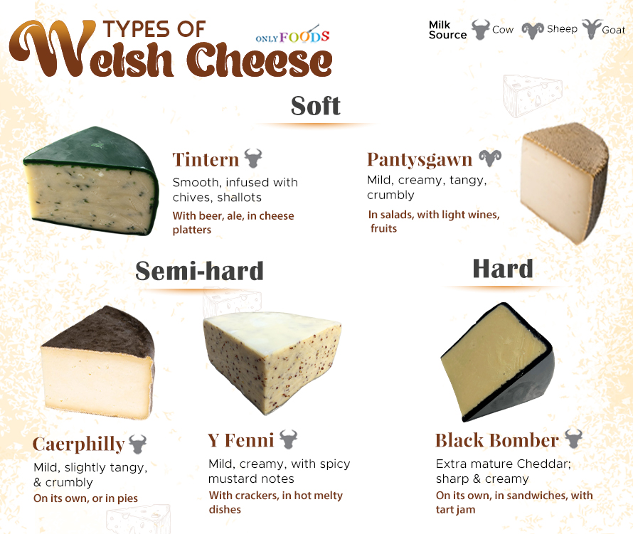 Types of Welsh Cheese