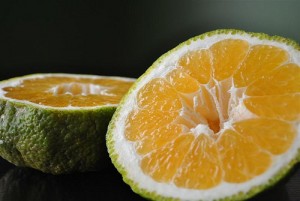 Ugli Fruit Picture