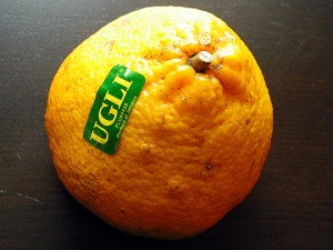 Images of Ugli Fruit
