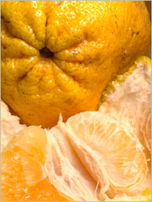 Pictures of Ugli Fruit