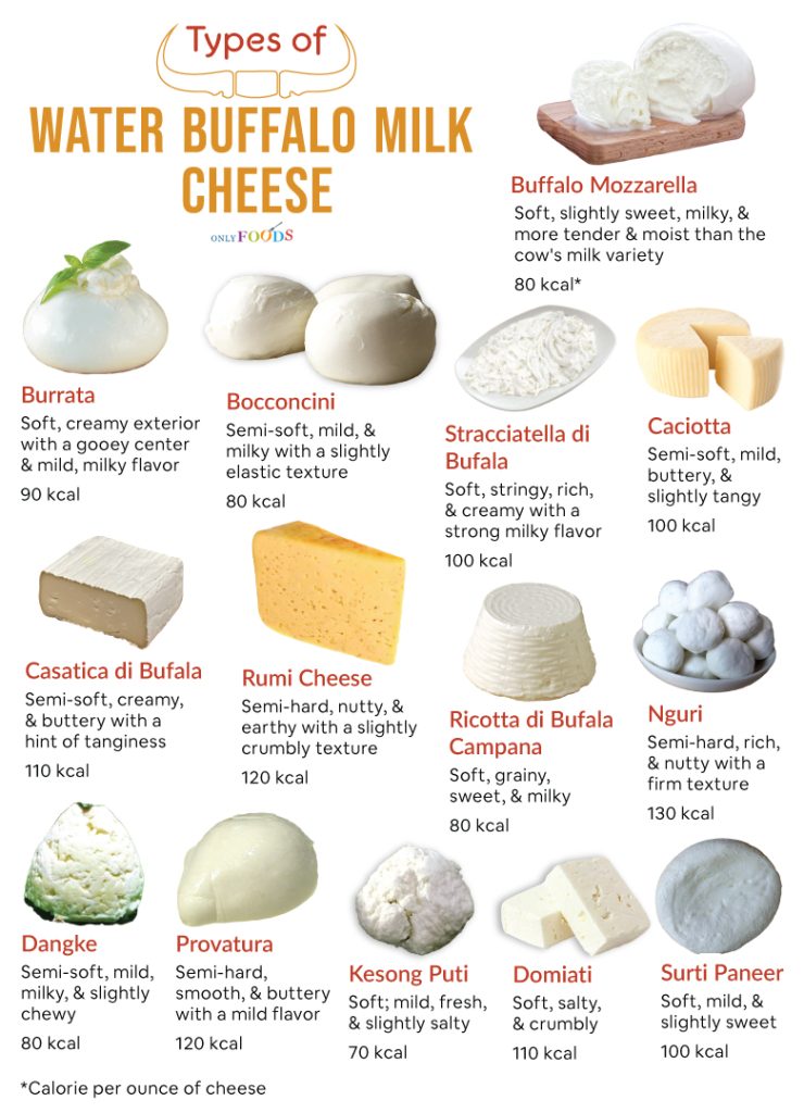 Water Buffalo Cheese
