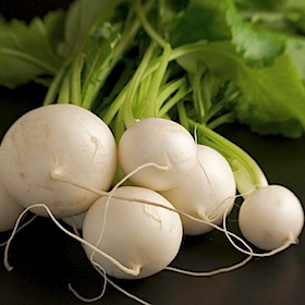 White Turnip White Turnip Image
