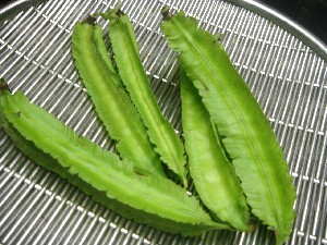 Photos of Winged Bean