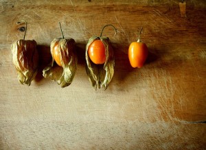 pictures of cape gooseberry