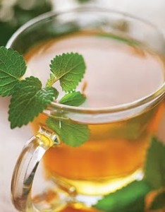 lemon balm tea