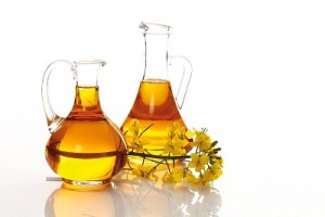 rapeseed oil